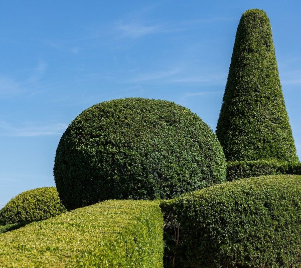 des idées pour créer un jardin avec un bassin ou une cascade d'eau
